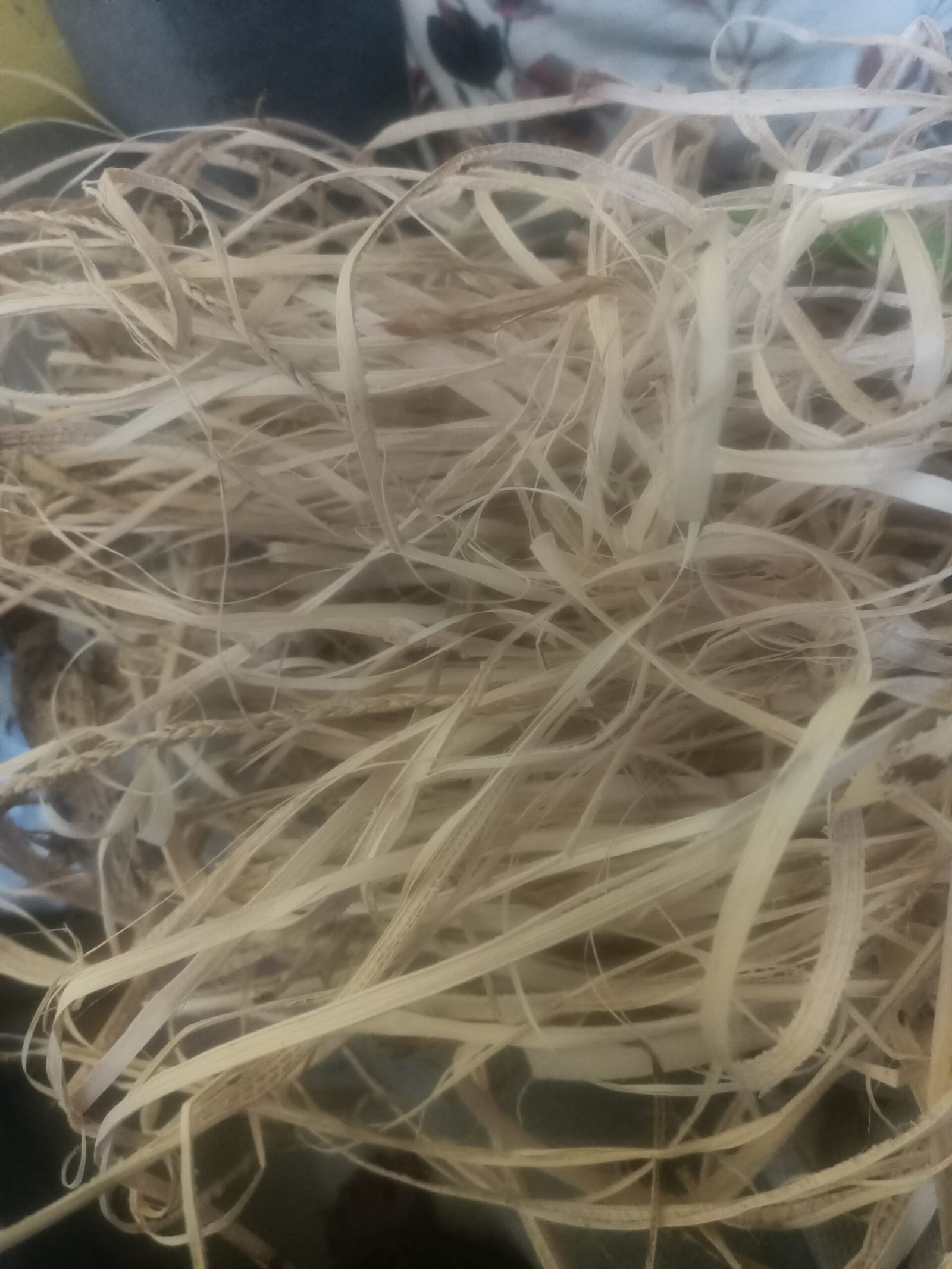fibre-scaled-1.jpg Banana fibre - Image 1
